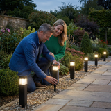 Solar LED Pathway Lights – Waterproof, Auto On/Off & Warm/Cool White