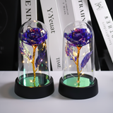 Rose Lamp LED Night Light Decorative Dome Gift