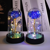 Rose Lamp LED Night Light Decorative Dome Gift