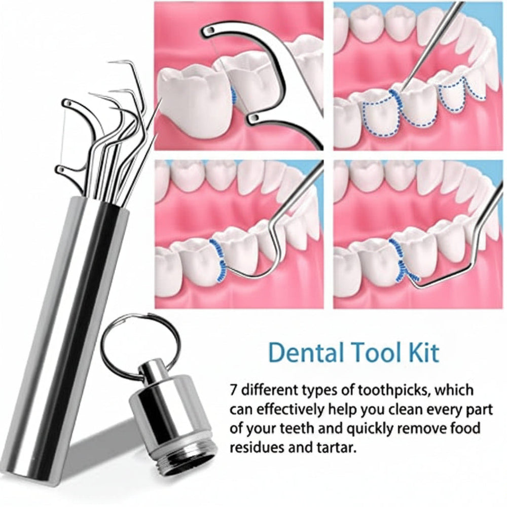 Toothpick Set Reusable Metal Toothpicks Travel Case