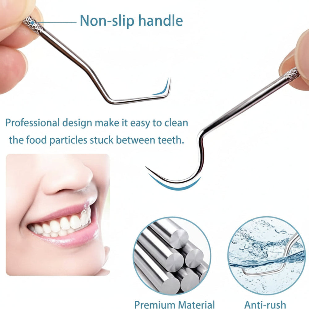 Toothpick Set Reusable Metal Toothpicks Travel Case