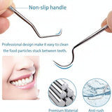 Toothpick Set Reusable Metal Toothpicks Travel Case