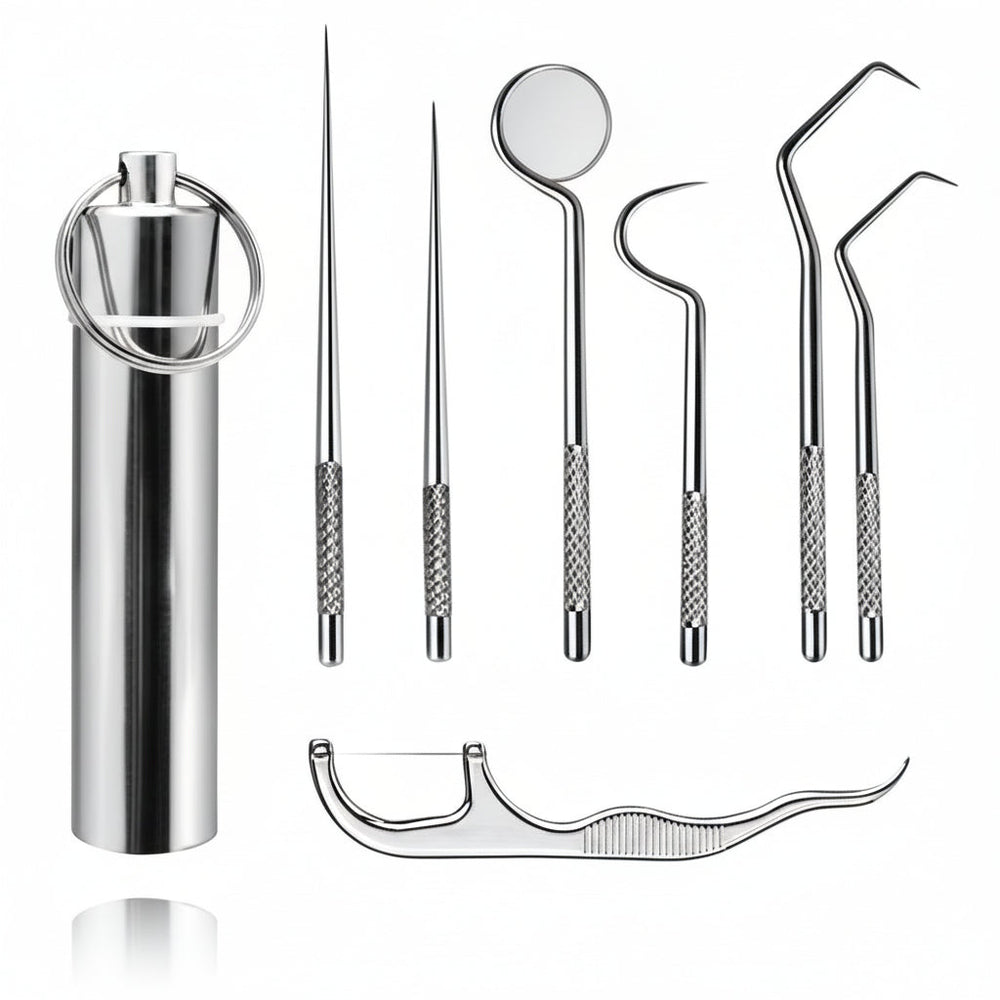 Toothpick Set Reusable Metal Toothpicks Travel Case