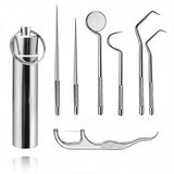 Toothpick Set Reusable Metal Toothpicks Travel Case