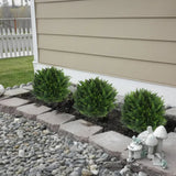 Enhanced Product Title: "UV-Resistenter Topiary Kunstbaum – Perfekt für Garten, Terrasse & Hauseingang | Wetterfest & Pflegeleicht" 

This title includes keywords that enhance searchability while clearly conveying the product's features and benefits.