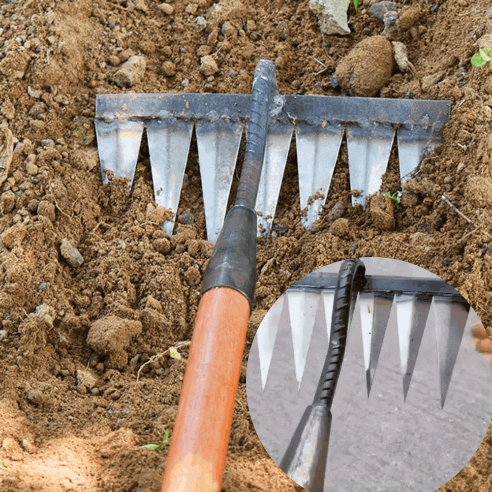 Carbon Steel Garden Rake – Wooden Handle, 4 to 7 Teeth & Hardened Tines