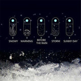 Kalsten | Storm Glass Weather Predicting Forecast Bottle Crystal Desktop Barometer with Wooden Base