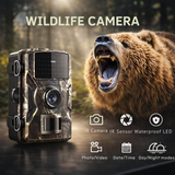 Trail Camera – Infrared Night Vision, Motion Detection & Weatherproof