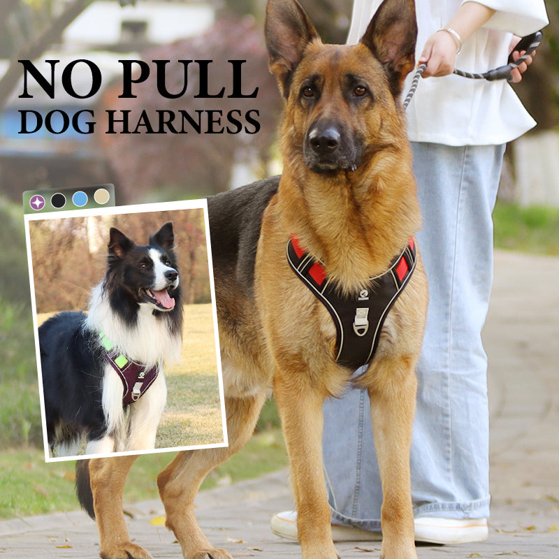 No-Pull Dog Harness Set – LED Collar, Padded Fit & Matching Leash
