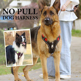 No-Pull Dog Harness Set – LED Collar, Padded Fit & Matching Leash