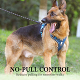 No-Pull Dog Harness Set – LED Collar, Padded Fit & Matching Leash