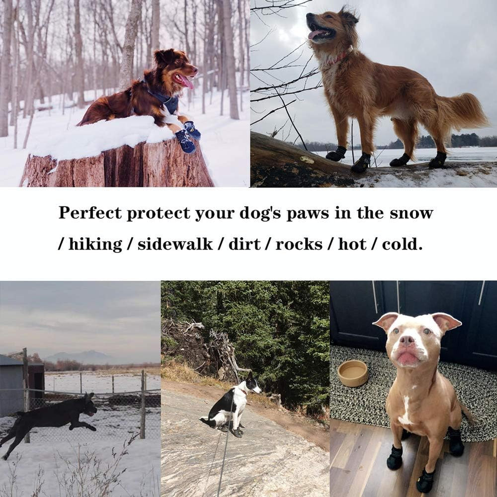 All-Weather Dog Boots for Ultimate Protection & Comfort - Perfect for Safe Outdoor Adventures
