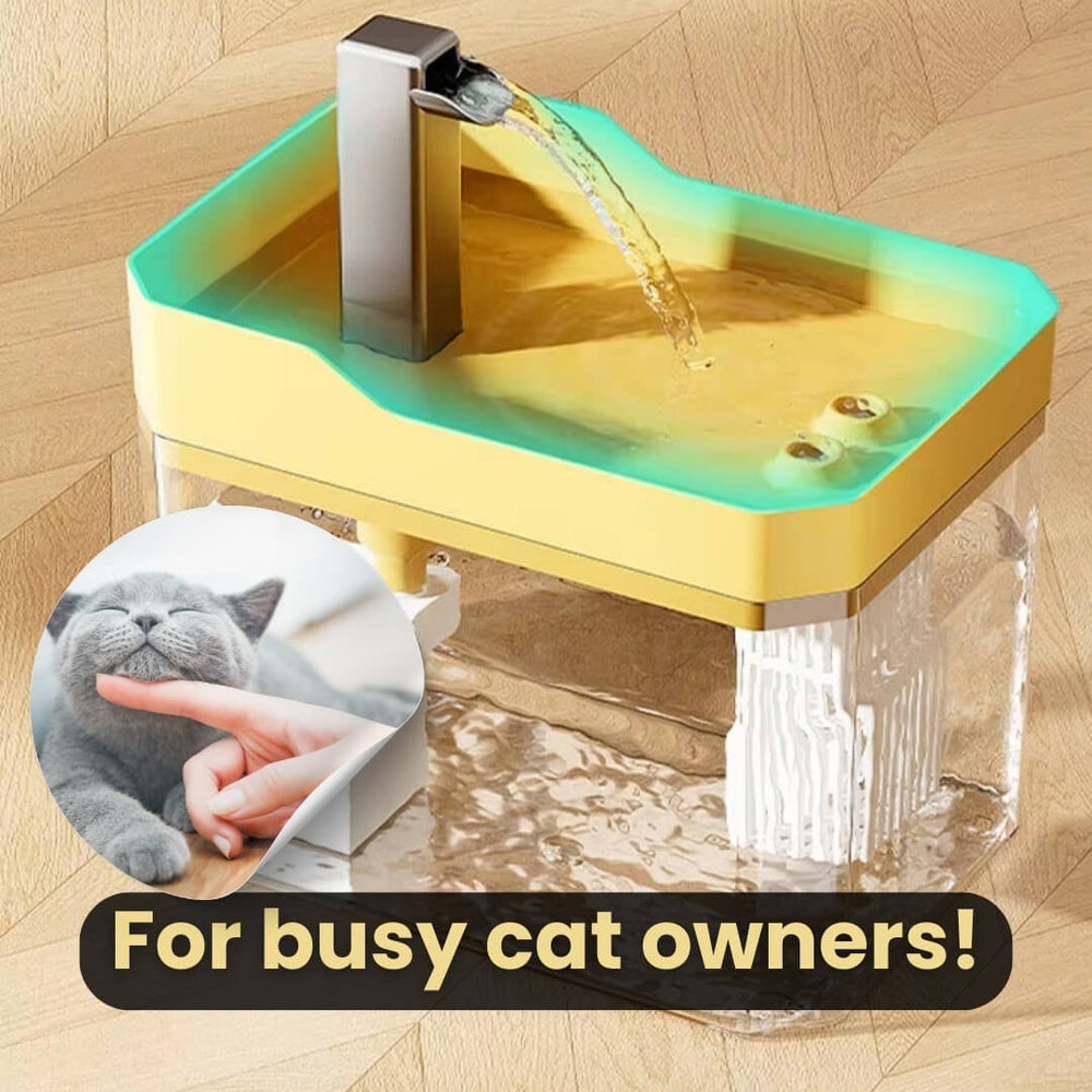Katzen-Trinkbrunnen 360° mit Sensor – 1,5 L Wasserspender leise