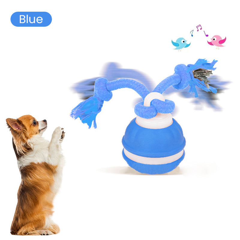Interactive Cat Ball – LED Lights, Bird Sounds & Auto Obstacle Avoidance