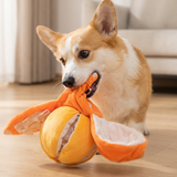 Optimized Product Title: Interaktives Plüsch-Hundespielzeug mit Quietscher – Versteck-Puzzle für Leckerchen | Fördert Spielspaß & geistige Stimulation für Hunde

This enhanced title includes keywords that may improve search visibility while clearly descri