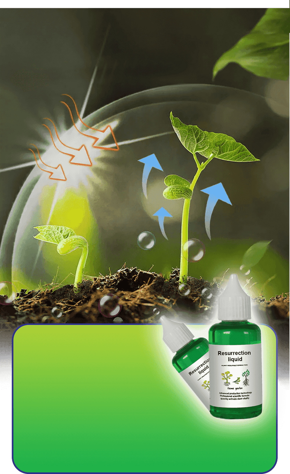 Optimized Product Title: "Pflanzen- & Blütenaktivator Flüssig – Fördert Stärkere Wurzeln & Reichhaltige Blüten für Gesunde Pflanzen" 

This title includes relevant keywords while enhancing clarity and appeal for potential buyers.
