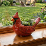 Cardinal Bird Planter – Ceramic Succulent Pot, Hand-Painted & 15×7 cm
