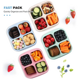 Bento4You 4-Pack Meal Prep Boxes - 4-Compartment Bento-Style Containers for Healthy Meal Storage