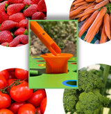 Garden Seed Spacing Template – Color-Coded, 30×30cm ABS & Planting Depth Guides