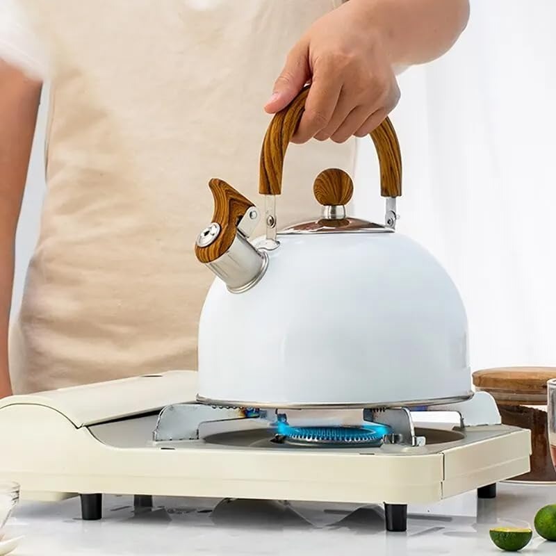 Stainless Steel Kettle with Whistle - Kavana