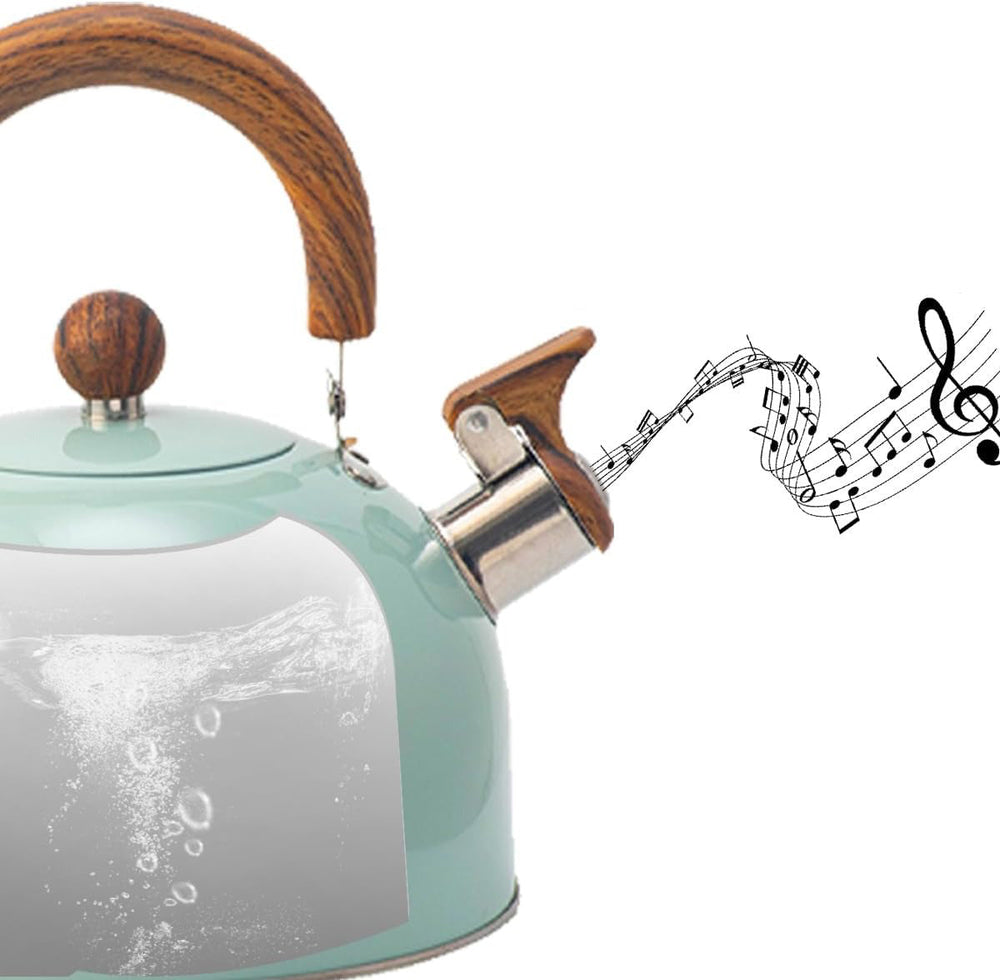 Stainless Steel Kettle with Whistle - Kavana