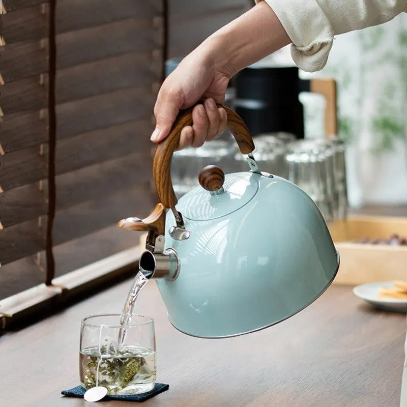Stainless Steel Kettle with Whistle - Kavana