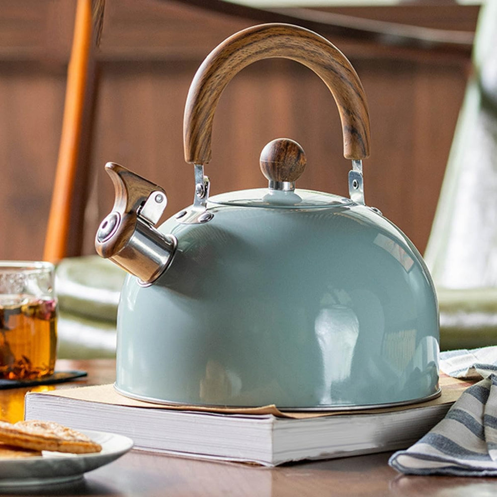 Stainless Steel Kettle with Whistle - Kavana