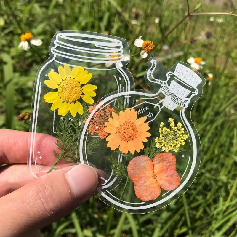 Dried Flower Bookmark Set 30 Pieces – Clear Acrylic, 5 Designs & Decorative Tassel