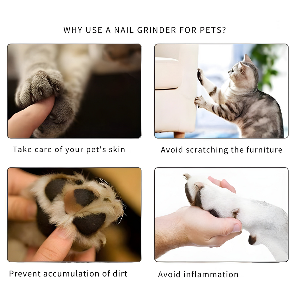Electric Pet Nail Grinder – USB Rechargeable, 3 Grinding Ports, Quiet, Dogs & Cats