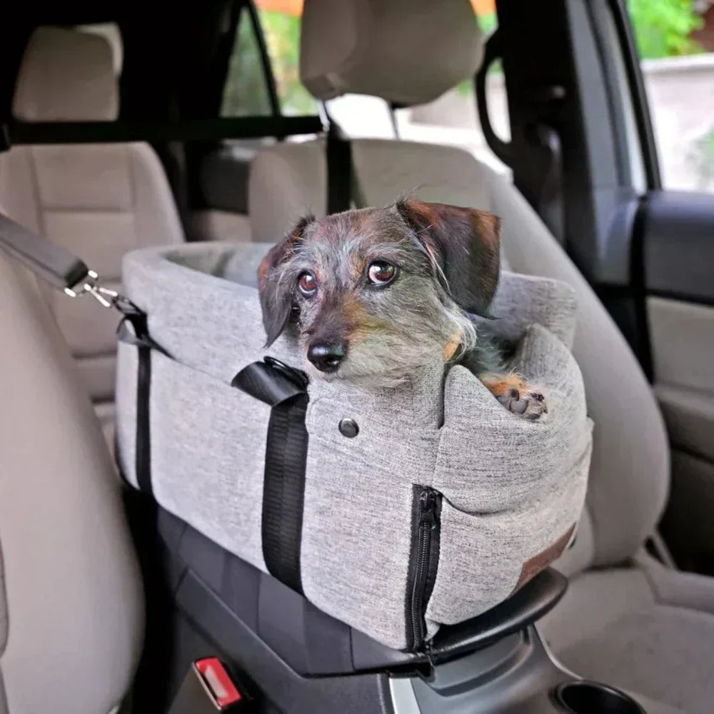 Enhanced Product Title: **Sicherer & Gepolsterter Auto-Hundesitz für Kleine Hunde bis 11 kg – Komfortable Sicherheitslösung für Reisen**