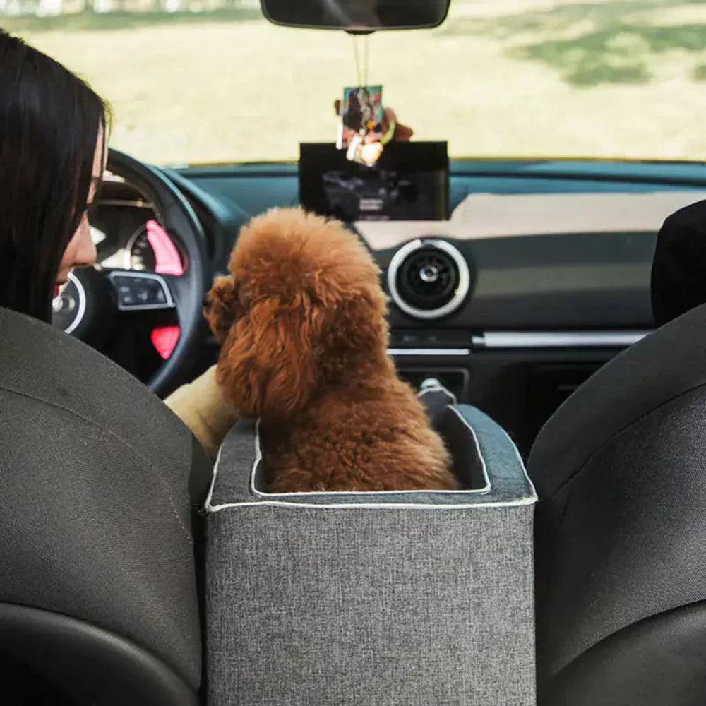 Enhanced Product Title: **Sicherer & Gepolsterter Auto-Hundesitz für Kleine Hunde bis 11 kg – Komfortable Sicherheitslösung für Reisen**
