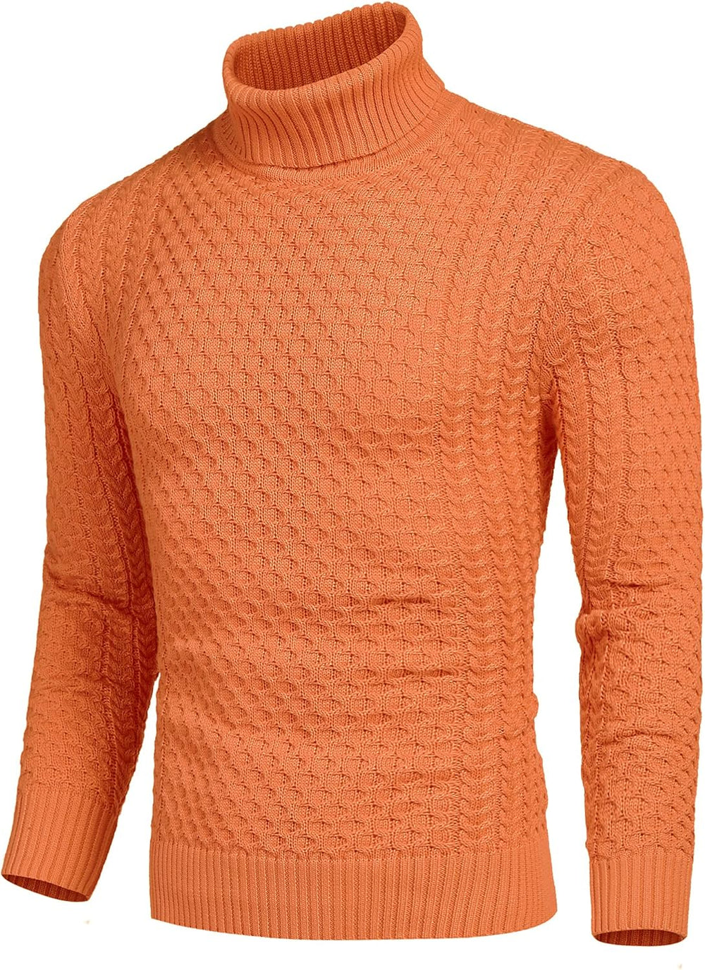 Casual Knit Men's Turtleneck - Sander