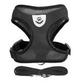 Adjustable Cat & Dog Walking Harness with Leash Set - No-Pull, Comfortable Fit for Small to Large Pets