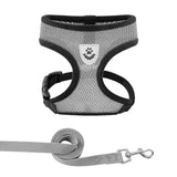 Adjustable Cat & Dog Walking Harness with Leash Set - No-Pull, Comfortable Fit for Small to Large Pets