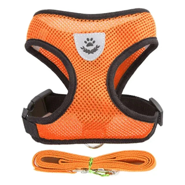 Adjustable Cat & Dog Walking Harness with Leash Set - No-Pull, Comfortable Fit for Small to Large Pets