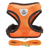 Adjustable Cat & Dog Walking Harness with Leash Set - No-Pull, Comfortable Fit for Small to Large Pets