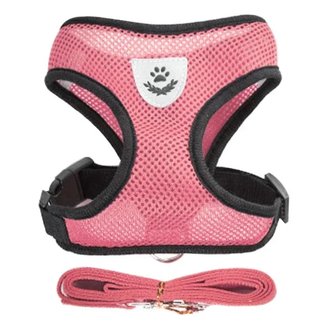 Adjustable Cat & Dog Walking Harness with Leash Set - No-Pull, Comfortable Fit for Small to Large Pets