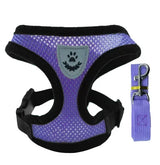 Adjustable Cat & Dog Walking Harness with Leash Set - No-Pull, Comfortable Fit for Small to Large Pets