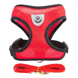 Adjustable Cat & Dog Walking Harness with Leash Set - No-Pull, Comfortable Fit for Small to Large Pets