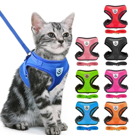Adjustable Cat & Dog Walking Harness with Leash Set