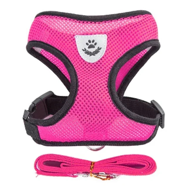 Adjustable Cat & Dog Walking Harness with Leash Set - No-Pull, Comfortable Fit for Small to Large Pets