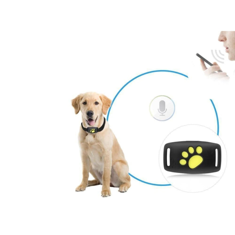 Cat GPS Tracker Collar Real Time Tracking