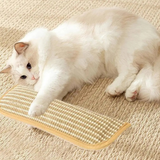 Cat Scratching Pillow Durable Scratching Surface Soft Cat Pillow