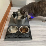 Rechargeable Cordless Cat Water Fountain | Battery-Powered Pet Hydration Station