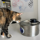 Rechargeable Cordless Cat Water Fountain | Battery-Powered Pet Hydration Station
