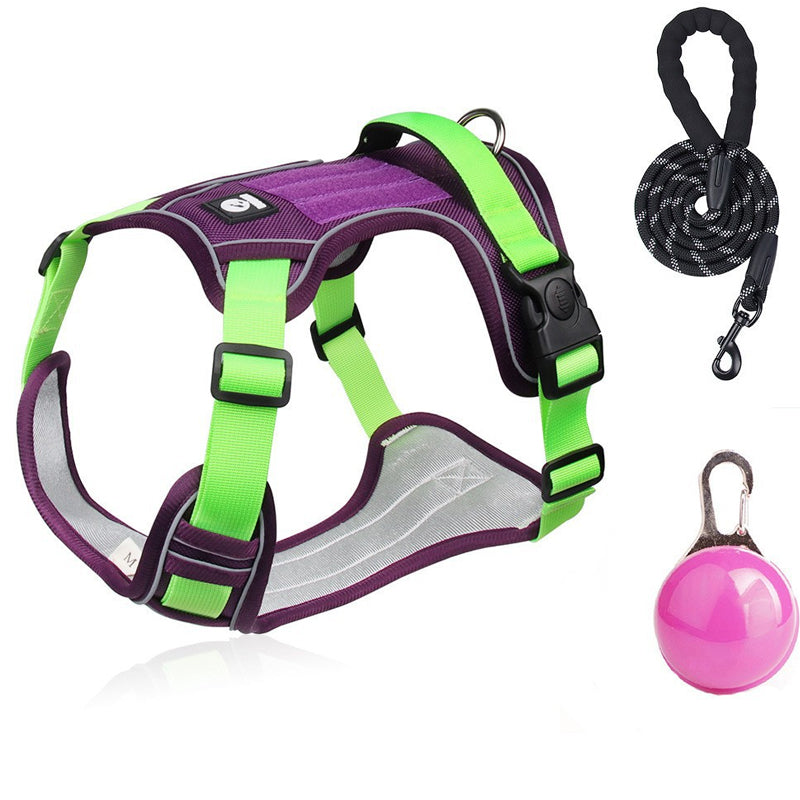 No-Pull Dog Harness Set – LED Collar, Padded Fit & Matching Leash