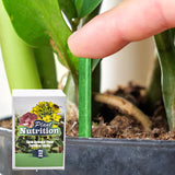 Houseplant Fertilizer Sticks – 18-Pack Slow-Release NPK, Water-Activated for Potted Plants