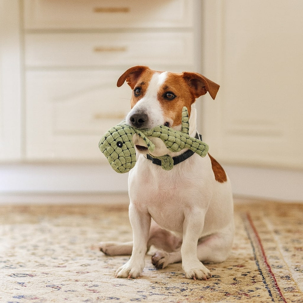 Indestructible Dog Chew Toy – Interactive Play, Durable Design & Multiple Colors
