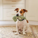 Indestructible Dog Chew Toy – Interactive Play, Durable Design & Multiple Colors