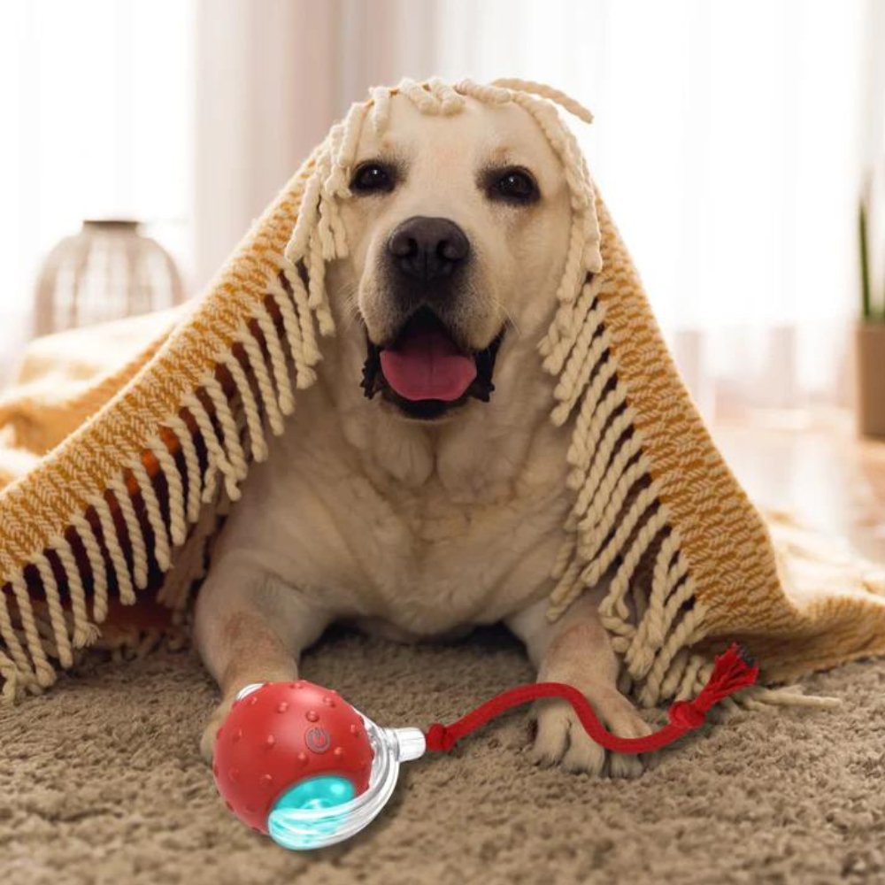 Interactive Self-Rolling Dog Ball – Non-Toxic, Motion-Activated & All Dog Sizes